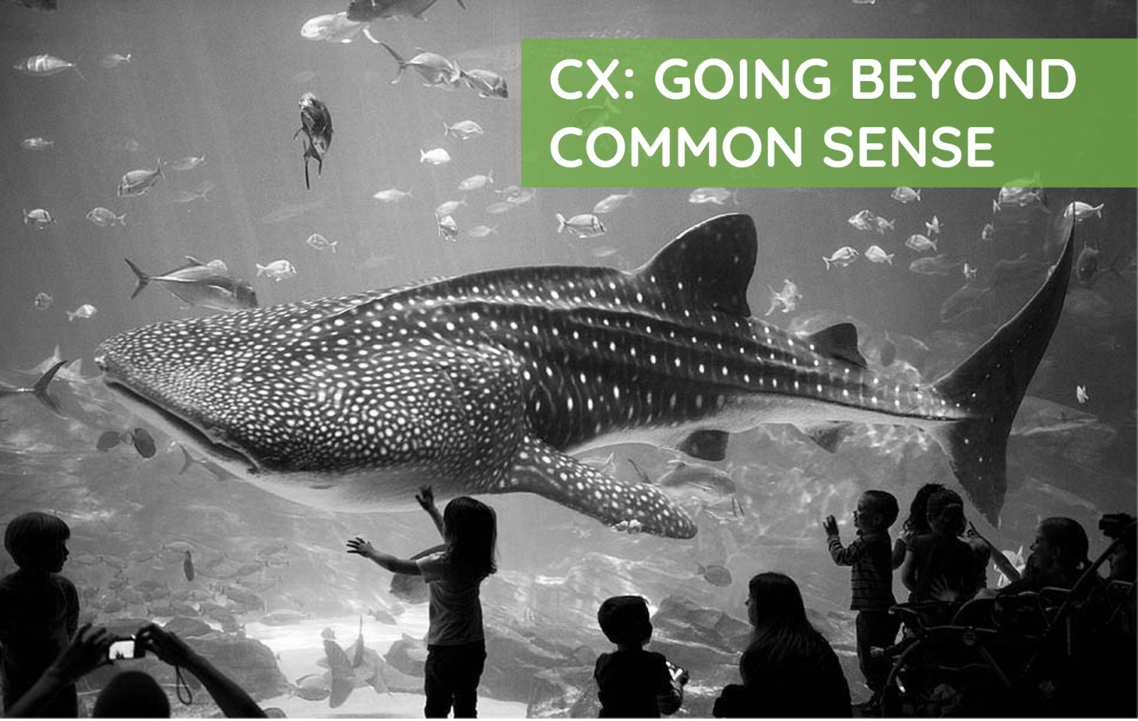 CX Sensory Branding Examples