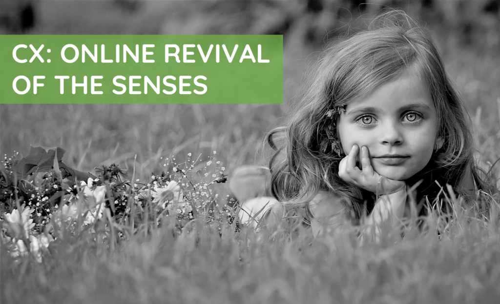 Sensory Marketing Online Experience
